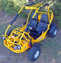 Trailmaster 200XRS Buggy / Go Kart Full Size Youth and Adult cart ages 13 and up.  Off road High Torque Higher Reveving Motor