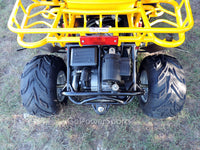 Trailmaster 200XRS Buggy / Go Kart Full Size Youth and Adult cart ages 13 and up.  Off road High Torque Higher Reveving Motor