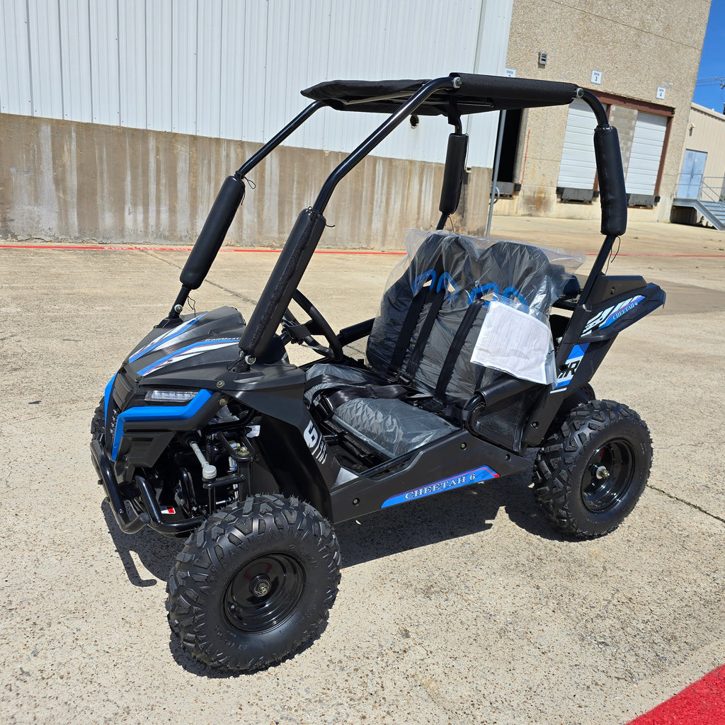 TrailMaster Cheetah 6 Youth Go-Kart - 163cc 5.5HP Engine, 4-Point Safety Belt, Remote Kill, Speed Governor, Suitable for Kids 6-12