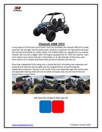 Trailmaster Cheetah 200E Off Road UTV / Go Kart /  Fuel Injected, Upgraded Rear End Suspension, Body Kit to keep you drier, Disk Brakes