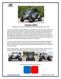 Trailmaster Cheetah 200EX Off Road UTV / Go Kart / side-by-side Wind Shield, Light bar, Spare Tire, Upgraded Center Pivot rear end, Fuel Injected