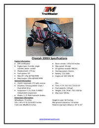 Trailmaster Cheetah 300EX Off Road UTV/Go kart | Fuel Injected Deluxe Adult Version, Center pivot rear end, water cooled motor