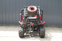 RPS Shark 125CC Mid-Size Kids Go Kart, Spare Tire, Over the Shoulder Harness, Mirrors and lights.