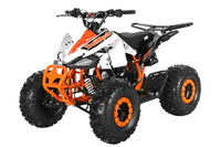 Trailmaster K125, 8" Wheel ,Youth Sports style ATV, Automatic Trans, Reverse,  Color Matched suspension, Front and Rear Brakes, Throttle Control