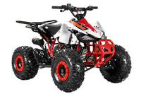 Trailmaster K125, 8" Wheel ,Youth Sports style ATV, Automatic Trans, Reverse,  Color Matched suspension, Front and Rear Brakes, Throttle Control