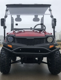 99% Assembled TrailMaster Taurus 200U UTV / Golf Cart / side-by-side Utility Hybrid with High/Low Gear