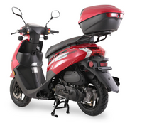 Ice Bear Cali PMZ50-2 50cc Moped/Scooter GY6 Clone Engine,Automatic CVT transmission with Gates belt, 10' Rims,Digital speedometer,LED lights, Disc brakes front drum brakes rear