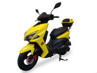 Ice Bear PMZ150-4 150cc GY6 clone engine,  LED Headlights, disc front/drum rear brakes, Electric Start, 10" rims, Kenda tires, LED Lights, USB Port