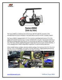 TrailMaster Taurus 200GX UTV / Golf Cart / side-by-side With Full length roof. Four seat cargo area  DOT light package