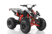 Apollo Falcon X 125 Youth Quad, Automatic with Reverse, Front and rear hydraulic brakes