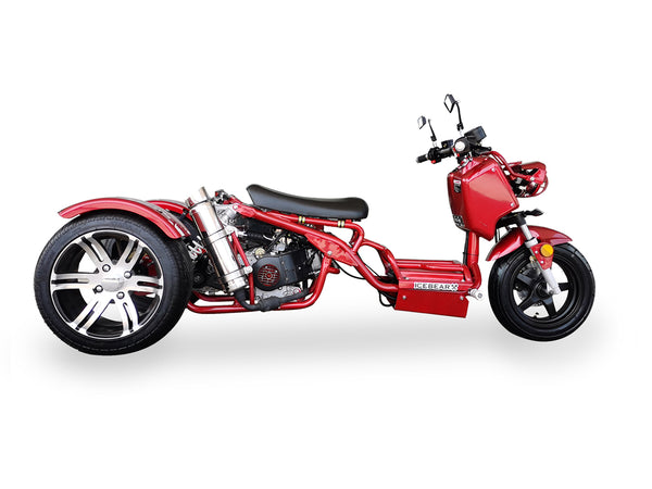 Mad Dog 50cc Trike Three Wheeler Trike MotoBuys