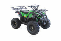 RPS Bull 125 8'' Youth ATV, 125cc, Automatic with Reverse, 8-Inch Wheels, Electric Start with Free Battery Charge, up to $49 value