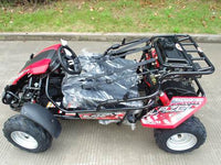 Trailmaster Blazer 200R Go Kart Youth Go Kart.  Ages 10 and up, Mid size Kids cart, Body Kit with reverse.