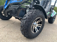 Trailmaster Cheetah 200EX Off Road UTV / Go Kart / side-by-side Wind Shield, Light bar, Spare Tire, Upgraded Center Pivot rear end, Fuel Injected