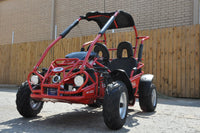 TRAILMASTER Eagle Mid XRX Youth Go Kart Buggy for ages 10 and up. Speed Control over the shoulder  seat belts