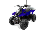 Trailmaster T110 Youth Sports ATV - 6" Wheels, Automatic Transmission, Electric Start, Hunter Style