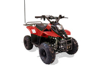 Trailmaster T110 Youth Sports ATV - 6" Wheels, Automatic Transmission, Electric Start, Hunter Style