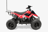 Trailmaster T110 Youth Sports ATV - 6" Wheels, Automatic Transmission, Electric Start, Hunter Style