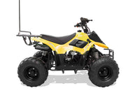 Trailmaster T110 Youth Sports ATV - 6" Wheels, Automatic Transmission, Electric Start, Hunter Style