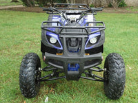 RPS Desert 200 Utility 200ATV-21 Adult ATV - 149cc, Automatic, Reverse, 21" Tires, Dual Racks, LED Lights