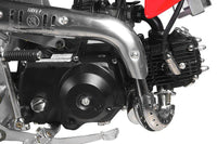 Apollo DB-21 XST 70cc Pit/Dirt Bike Semi-Auto Kids Model 25" Seat Height-OFF ROAD ONLY, CARB