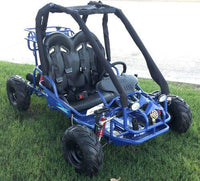 RPS GK 2 110cc Go Kart, Padded roll bars, coil over front shocks.
