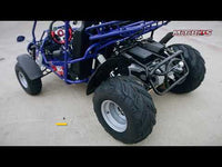 Trailmaster 300XRSE EFI Ultra Buggy Go Kart Largest Engine, Fuel Injected Motor, Over Sized disc brakes, Water Cooled