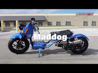 Ice Bear Maddog Gen V 150cc Scooter,  GY-6 clone engine, Automatic CVT, Electric start