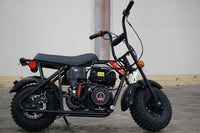 Trailmaster Storm 200 Mini Bike Blast From the Past, Quailty Engine, Welded Frame, Disk Brake- Off Road Only