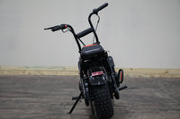 Trailmaster Storm 200 Mini Bike Blast From the Past, Quailty Engine, Welded Frame, Disk Brake- Off Road Only