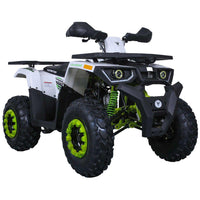 Tao G200, Full Size Adult, Bead Lock Style Rim, Automatic Trans with Reverse,  Electric start
