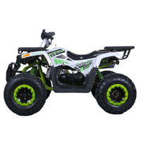 Tao G200, Full Size Adult, Bead Lock Style Rim, Automatic Trans with Reverse,  Electric start