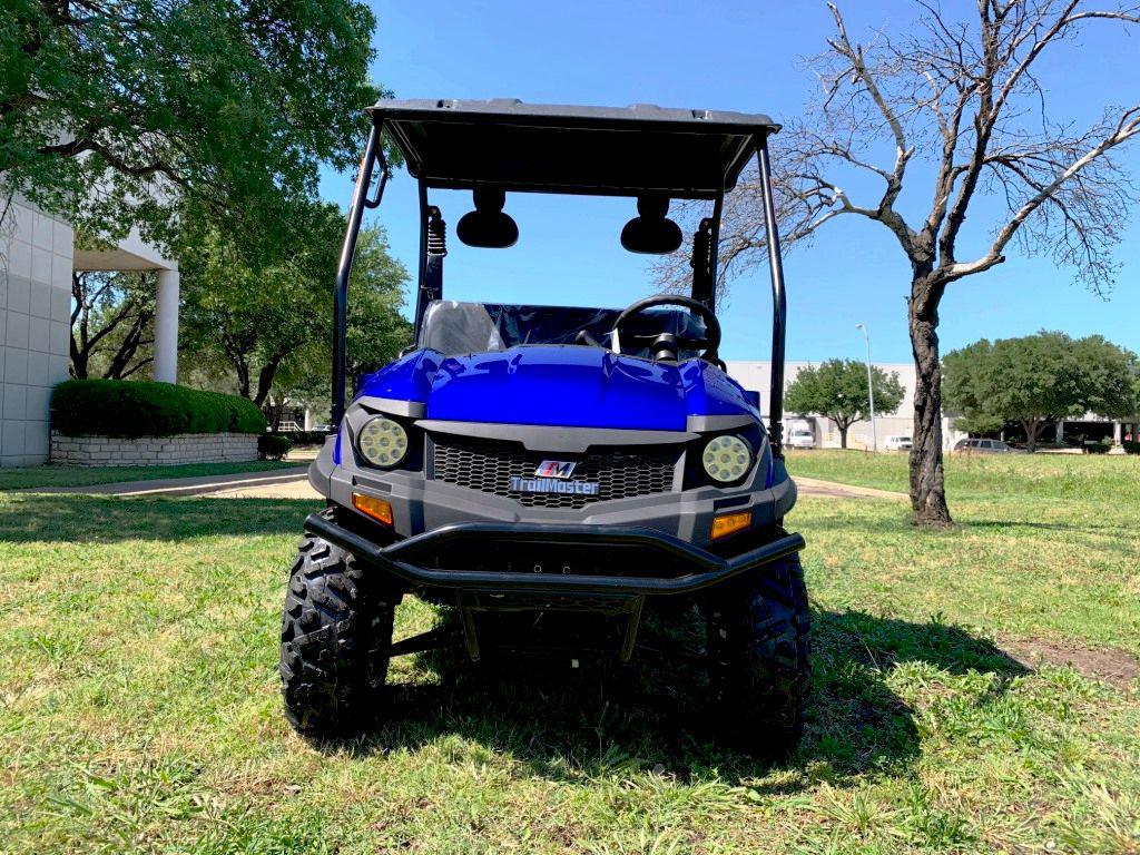 99% Assembled TrailMaster Taurus 200U UTV / Golf Cart / side-by-side Utility Hybrid with High/Low Gear