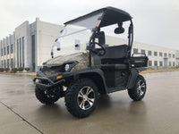 99% Assembled TrailMaster Taurus 200U UTV / Golf Cart / side-by-side Utility Hybrid with High/Low Gear