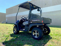 99% Assembled TrailMaster Taurus 200U UTV / Golf Cart / side-by-side Utility Hybrid with High/Low Gear