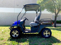 99% Assembled TrailMaster Taurus 200U UTV / Golf Cart / side-by-side Utility Hybrid with High/Low Gear