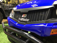 99% Assembled TrailMaster Taurus 200U UTV / Golf Cart / side-by-side Utility Hybrid with High/Low Gear