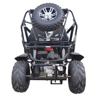 Trailmaster Cheetah 200EX Off Road UTV / Go Kart / side-by-side Wind Shield, Light bar, Spare Tire, Upgraded Center Pivot rear end, Fuel Injected