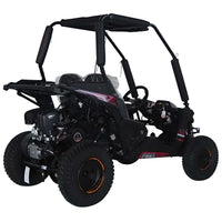 TrailMaster Cheetah 6 Youth Go-Kart - 163cc 5.5HP Engine, 4-Point Safety Belt, Remote Kill, Speed Governor, Suitable for Kids 6-12