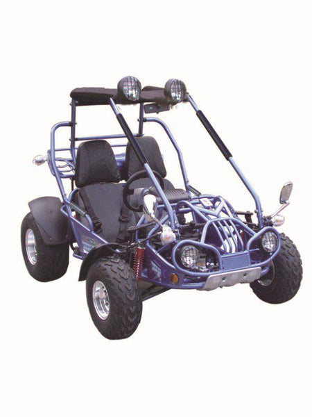 TrailMaster 200XRX Deluxe Buggy - Go Kart for Sale