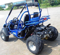 Trailmaster 300XRSE EFI Ultra Buggy Go Kart Largest Engine, Fuel Injected Motor, Over Sized disc brakes, Water Cooled