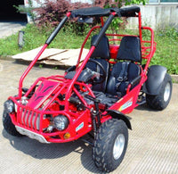Trailmaster 300XRSE EFI Ultra Buggy Go Kart Largest Engine, Fuel Injected Motor, Over Sized disc brakes, Water Cooled