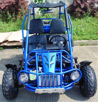 Trailmaster 300XRSE EFI Ultra Buggy Go Kart Largest Engine, Fuel Injected Motor, Over Sized disc brakes, Water Cooled