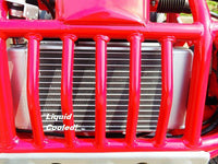 Trailmaster 300XRSE EFI Ultra Buggy Go Kart Largest Engine, Fuel Injected Motor, Over Sized disc brakes, Water Cooled