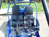 Trailmaster 300XRSE EFI Ultra Buggy Go Kart Largest Engine, Fuel Injected Motor, Over Sized disc brakes, Water Cooled