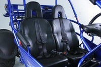 Trailmaster 300XRSE EFI Ultra Buggy Go Kart Largest Engine, Fuel Injected Motor, Over Sized disc brakes, Water Cooled