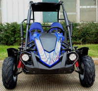 Trailmaster Blazer 200R Go Kart Youth Go Kart.  Ages 10 and up, Mid size Kids cart, Body Kit with reverse.