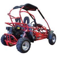 TRAILMASTER Eagle Mid XRX Youth Go Kart Buggy for ages 10 and up. Speed Control over the shoulder  seat belts