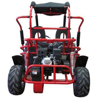 TRAILMASTER Eagle Mid XRX Youth Go Kart Buggy for ages 10 and up. Speed Control over the shoulder  seat belts