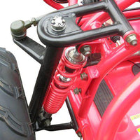 TRAILMASTER Eagle Mid XRX Youth Go Kart Buggy for ages 10 and up. Speed Control over the shoulder  seat belts